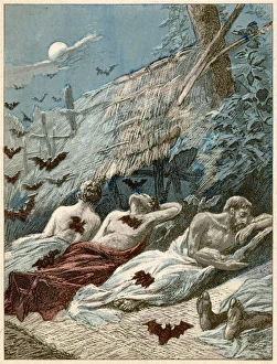 Vampire Bats