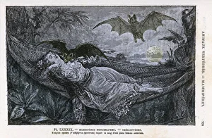 Bites Gallery: Vampire Bats / Rengade