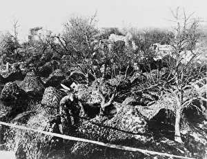 Camouflaged Prints: Varennes 1918