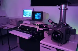 Sample Prints: Variable pressure scanning electron microscope