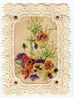 Plastic Collection: Variegated pansies on a lacy-edged greetings card