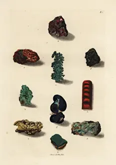 Naturalien Cabinet Prints: Varieties of copper, coppernickel and malachite ores