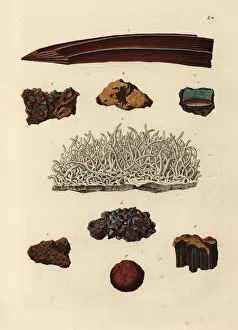 Naturae Collection: Varieties of iron ore