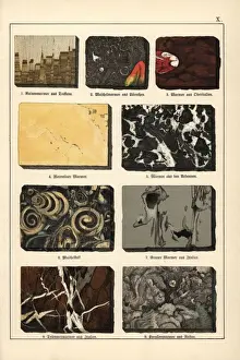Gotthilfheinrichvonschubert Prints: Varieties of marble
