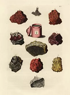 Naturae Collection: Varieties of minerals and resins including