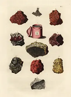 Naturalien Cabinet Prints: Varieties of minerals and resins including
