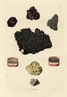 Naturalien Cabinet Prints: Varieties of tin ores