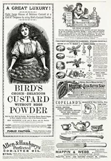 Adverts Gallery: A variety of Advertisements from 1889. Date: 1886