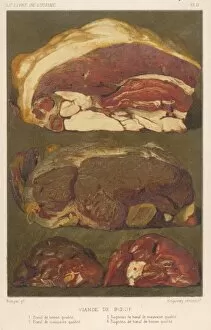 Various Cuts of Beef