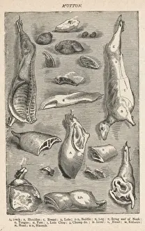 Various Cuts of Mutton