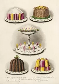 Jellies Collection: Various Desserts C1860