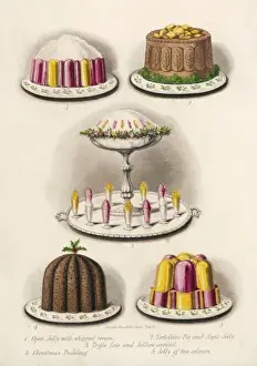 Trifle Prints: Various Desserts C1860