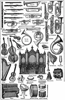Images Dated 3rd August 2015: Various musical instruments