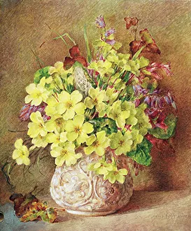 Pressland Prints: Vase of Primroses