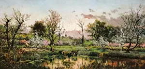 VAYREDA i VILA, Joaquim (1843-1894)
