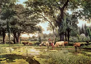 VAYREDA i VILA, Joaquim (1843-1894)