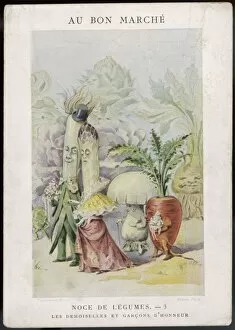Asparagus Collection: Veg as Human 3 1900