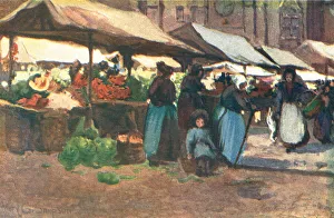 Vegetable Market