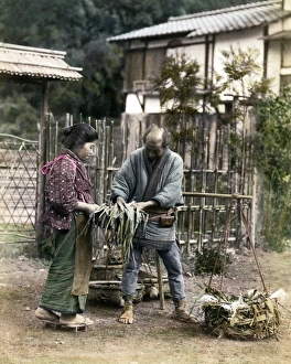 Vegetable Vendor