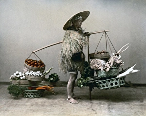 Vegetable Vendor