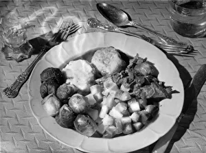 Images Dated 29th March 2018: VEGETARIAN DISH