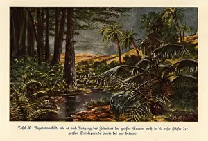 Dinosaurs Collection: Vegetation in the first half of the Neogene (Late
