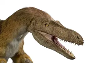 Velociraptor