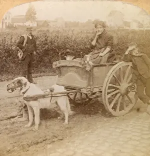 Muzzle Prints: Vendor with dog cart, Antwerp, Belgium
