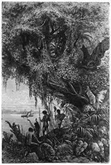 Venezuela Orinoco
