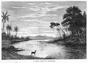 Orinoco Prints: Venezuela Orinoco