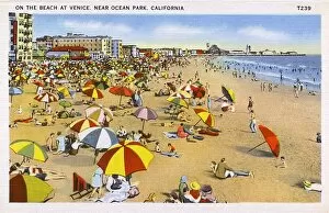 Images Dated 19th May 2017: Venice Beach, near Ocean Park, Los Angeles, USA