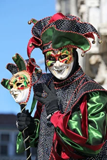 Images Dated 8th February 2013: Venice Carnival Jester Costume