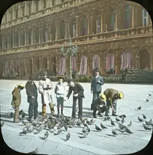 Venice, Italy - Feeding Pigeons