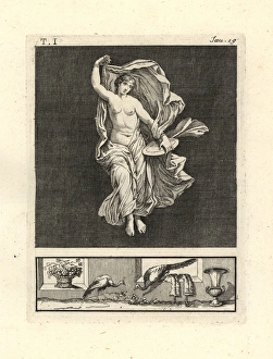 Antiquitiesofherculaneum Gallery: Venus dancing gracefully with a disk of gold and blue veil