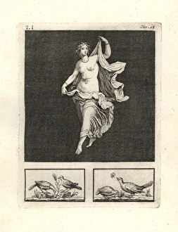 Antiquitiesofherculaneum Gallery: Venus gracefully dancing at a banquet of the gods