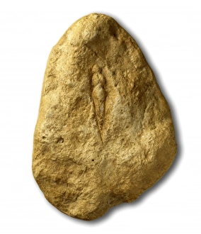 Homo sapiens, Cro-Magnon man