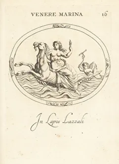 Dolphins Prints: Venus riding Capricorn in the ocean