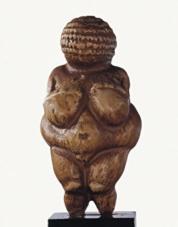 Prehistory Gallery: Venus of Willendorf. Paleolithic art