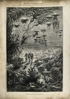 Masculine Collection: VERNE, Jules (1828-1905). Illustration of 20000