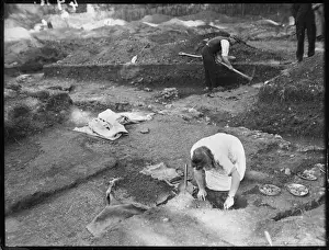 Verulamium Excavations