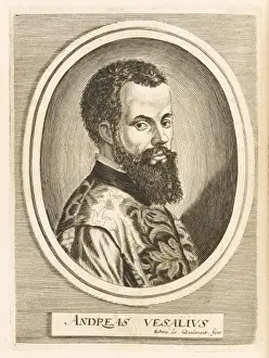 Andreas Prints: Vesalius / Boulonois