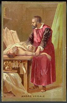 1564 Prints: VESALIUS/TRADE CARD