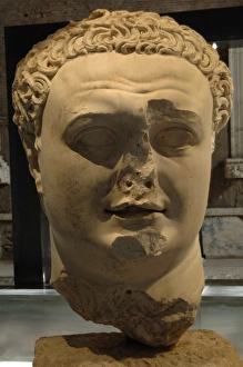 Images Dated 3rd April 2009: Vespasian (9-79). Roman Emperor. Colossal Head