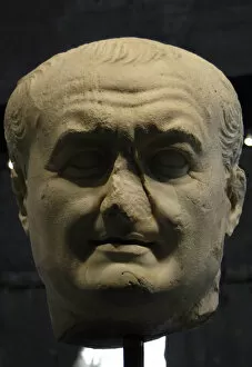 Images Dated 3rd April 2009: Vespasian (9-79). Roman Emperor. Colossal Head