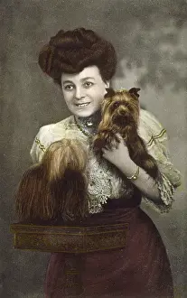Tilley Prints: Vesta Tilley / Dogs