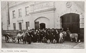 Images Dated 18th July 2018: VETS / ANIMAL DISPENSARY