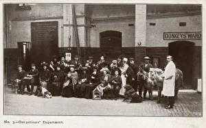 Images Dated 18th July 2018: VETS / DOG PATIENTS