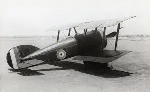 Vickers F. B. 19 Mk 2 / II