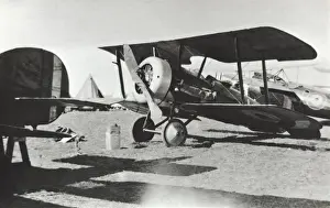 Vickers F. B. 19 Mk 2 / II