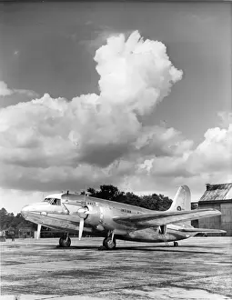 Vickers Viking in British West Indian Airways markings
